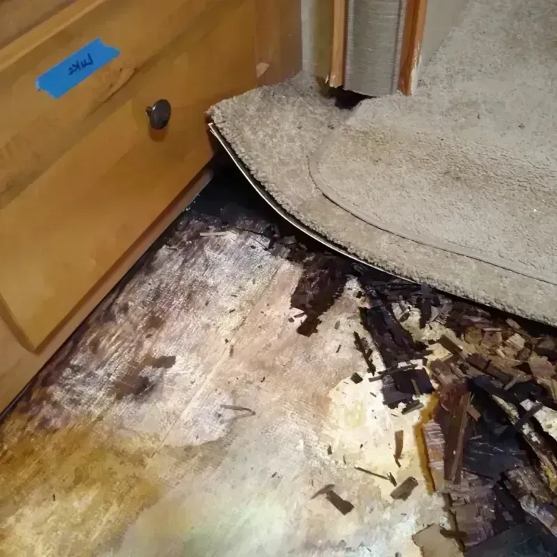 Best Wood Floor Water Damage Service in Sugarcreek, OH